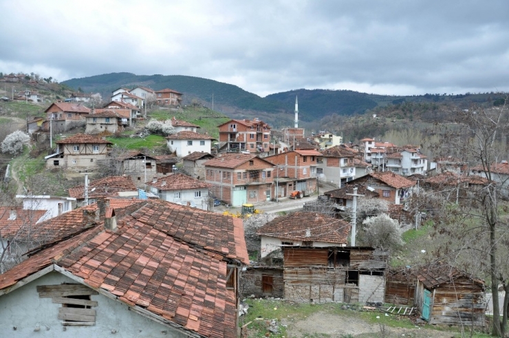 Yeşildere Köyü Sessizliğe Büründü