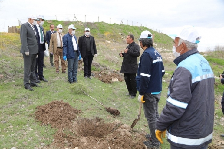 Battalgazi’de 750 Fidan Toprakla Buluştu