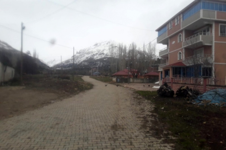 Gümüşhane’de 165 Kişinin Yaşadığı Köyde Karantina Devam Ediyor