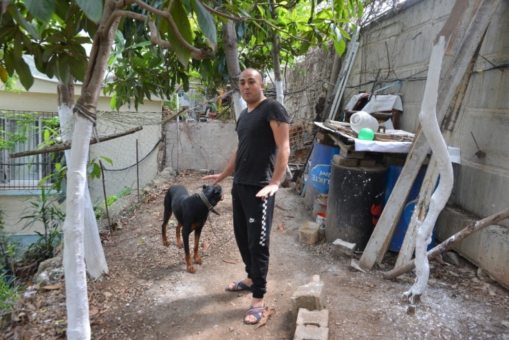 Otomobil Bahçeye Düştü, Ev Sahibi Uçak Sandı