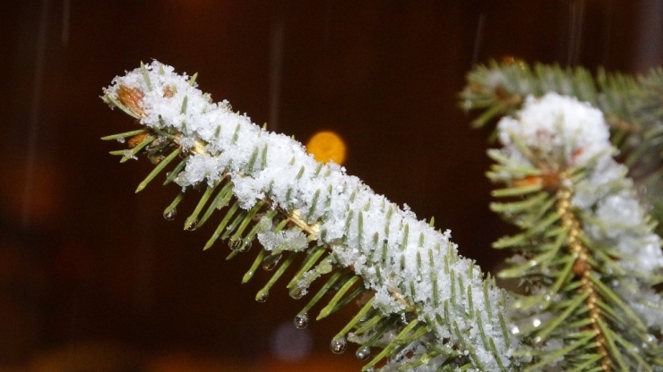 Ardahan’da 1 Nisanda ’Beyaz’ Sürpriz