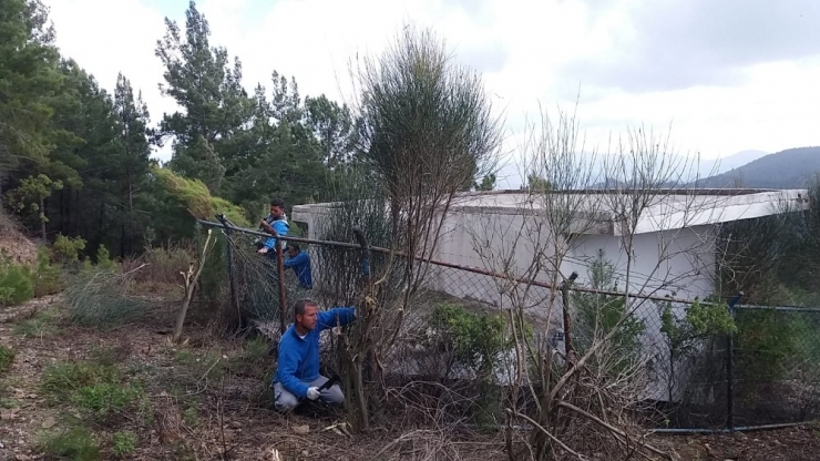 Alanya’da İçme Suyu Depoları Temizleniyor