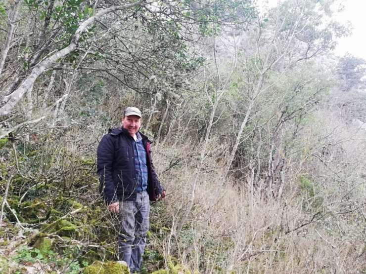 Osmaneli’ndeki Ormanlar Tehlike Altında