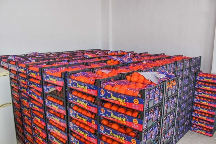 Karacabey’de Sağlık Çalışanlarına Ve Personele C Vitamini Takviyesi