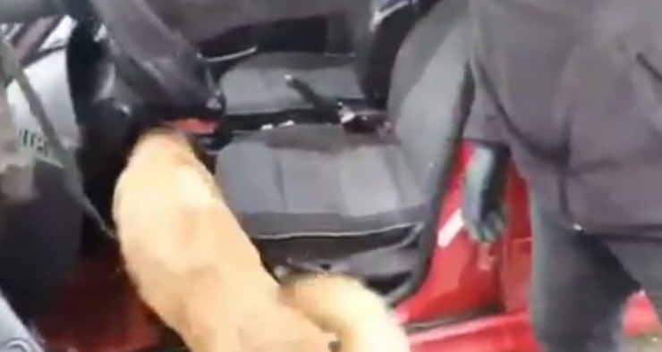 Şüphe Üzerine Durduruldu, Uyuşturucu Hap Bulundu