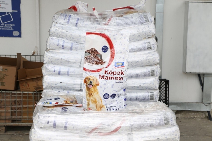 Ordu’da Sokak Hayvanları Unutulmuyor