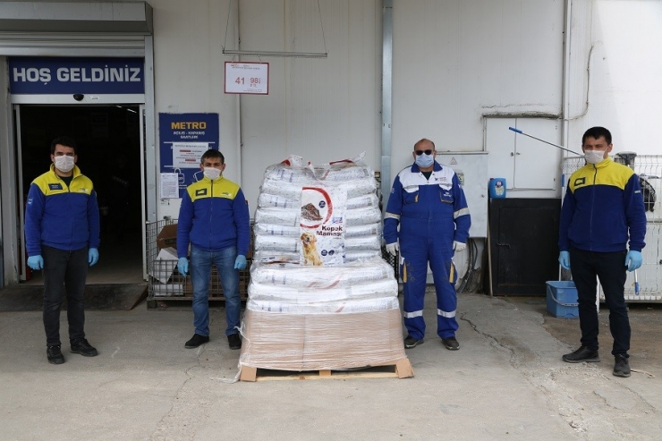 Ordu’da Sokak Hayvanları Unutulmuyor