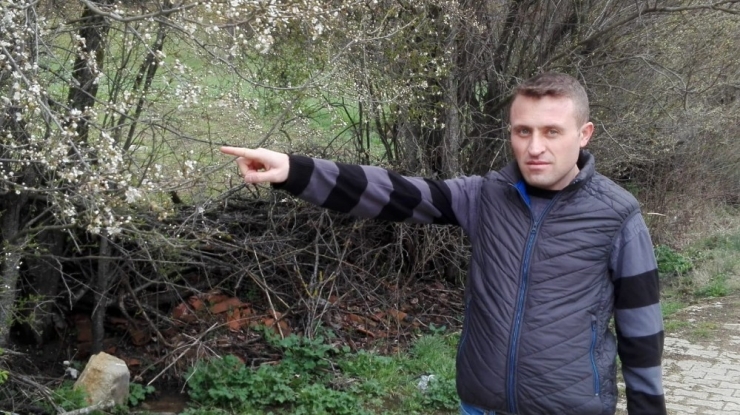 Soğuk Havanın Hakim Olduğu Bilecik’te Erik Ağaçları Çiçek Açtı