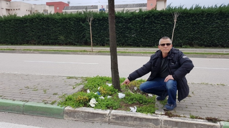 Çevreye Atılan Kullanılmış Maske Ve Eldivenler Tehlike Saçıyor