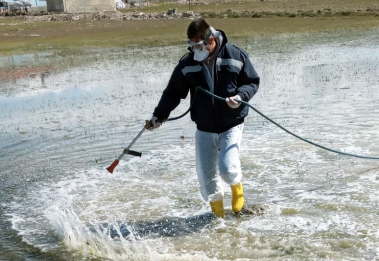 Van’da Vektörle Mücadele Çalışması