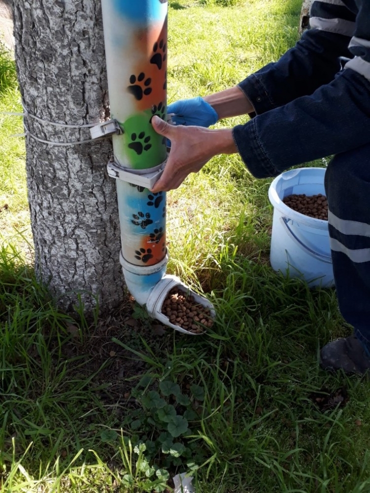 Biga’da Sokak Hayvanlarına Yardım