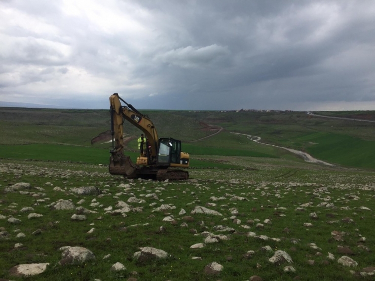 Sele Kapılan Hayvanları Bağlar Belediyesi Kurtardı