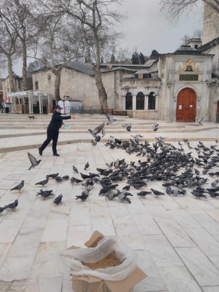 Antalyalı Hayırsever Eyüpsultan’ın Güvercinlerini Unutmadı