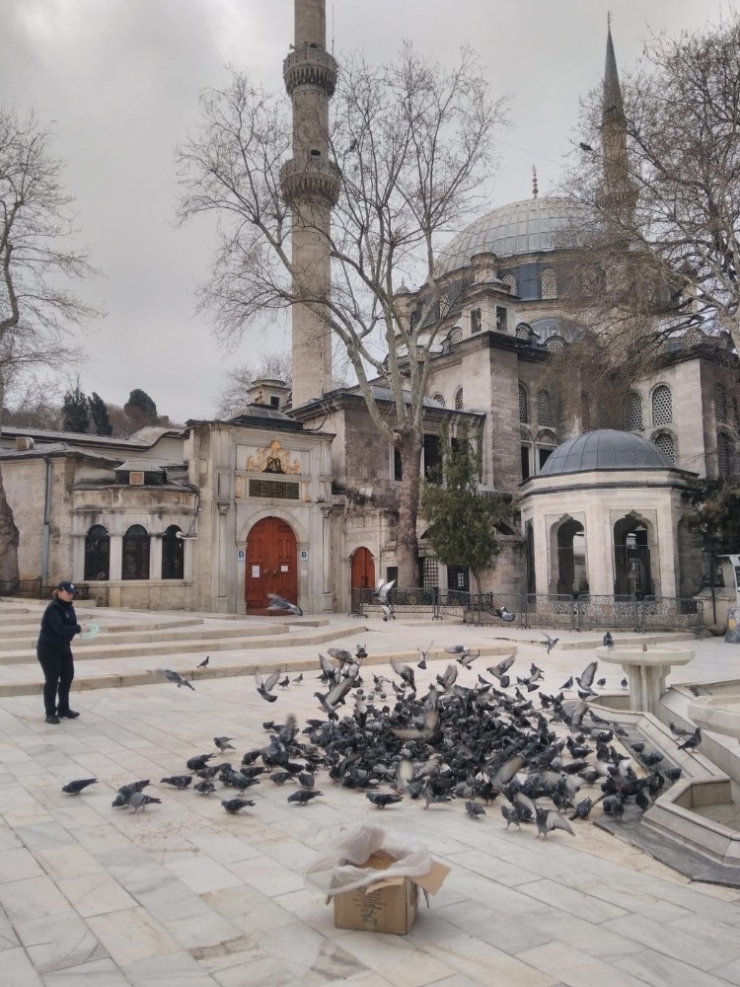 Antalyalı Hayırsever Eyüpsultan’ın Güvercinlerini Unutmadı