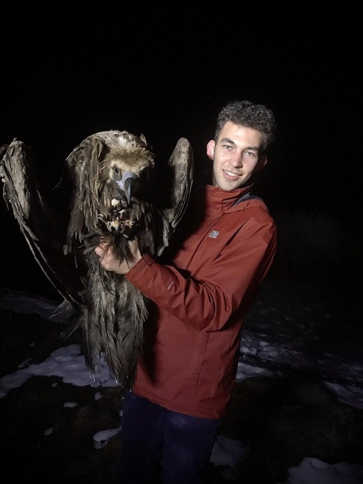 18 Yaşındaki Genç Yaralı Akbabayı Sağlığına Kavuşturdu