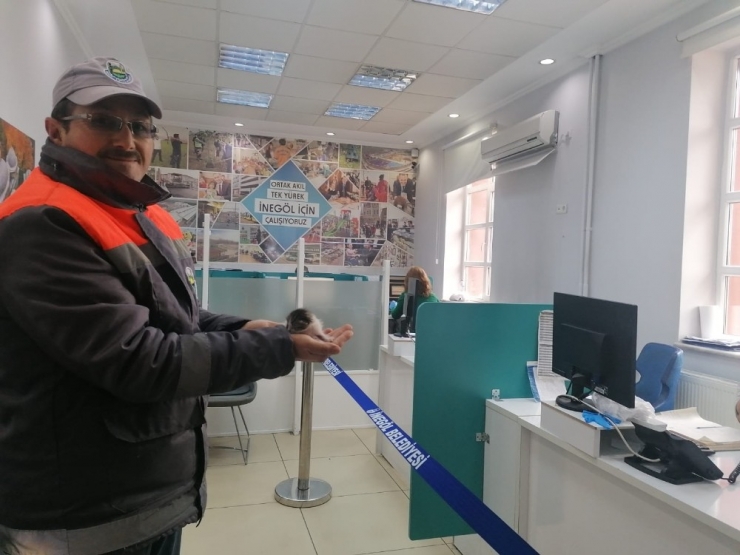 Korona Virüsü Sokak Hayvanlarını Da Vurdu