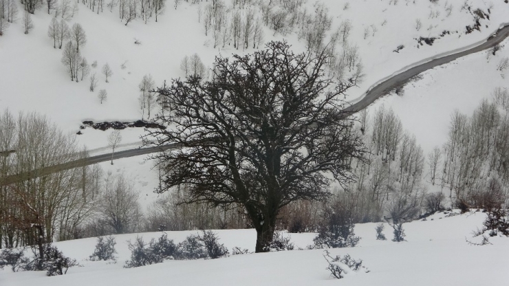 Muş’ta Yüksek Kesimler Beyaza Büründü
