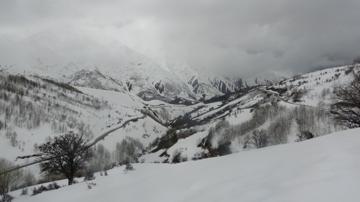 Muş’ta Yüksek Kesimler Beyaza Büründü