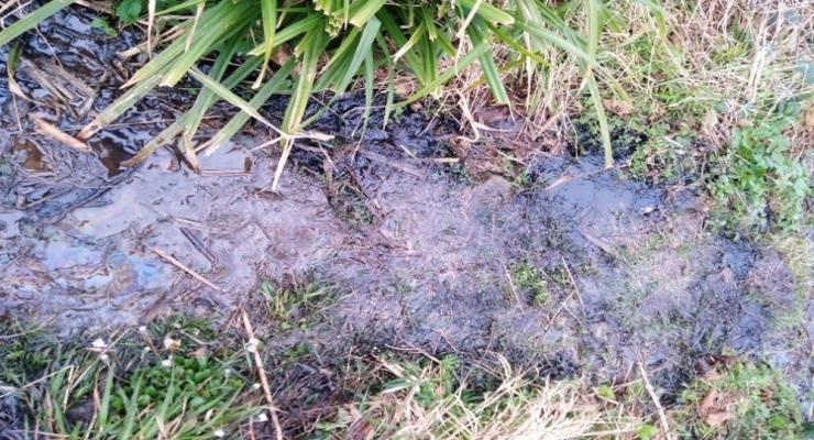 Ordu’da İçme Suyuna Yanık Yağ Karıştırdılar