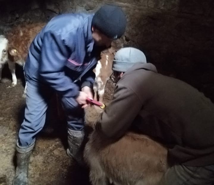 Karadayı: ‘Evde Kal Fiziksel Mesafeyi Koru’