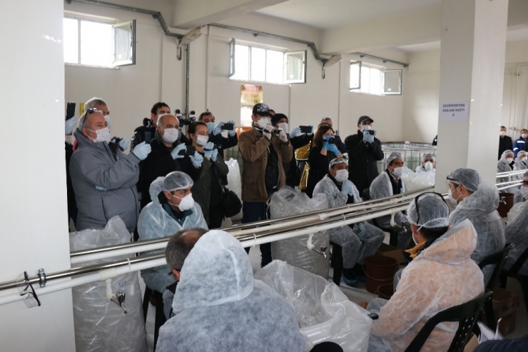 Kdz. Ereğli Belediyesi El Dezenfektanı Üretmeye Başladı