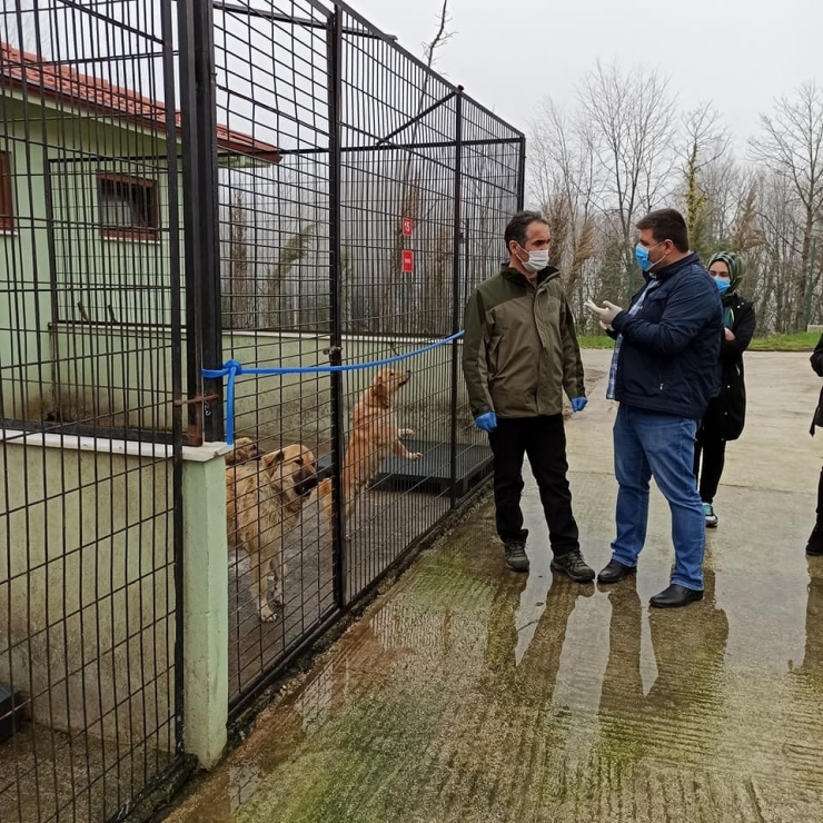 Hayvan Barınağı Denetlendi