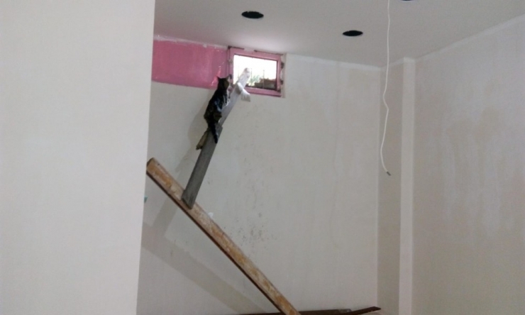 Edremit’te İtfaiye Ekipleri Mahsur Kalan Hayvanları Kurtardı