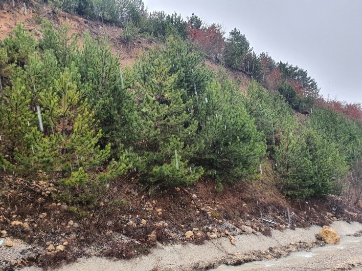 Kastamonu’da Nisan Ayında Kar Sürprizi