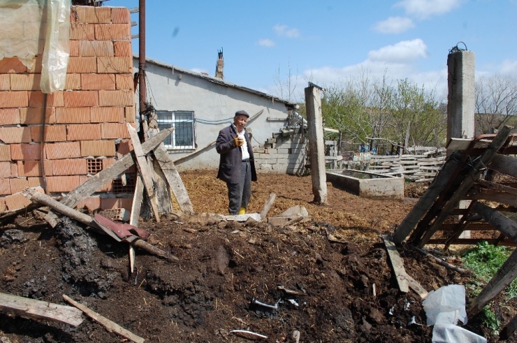 Çiftlikten 3 Büyükbaş Hayvanı Çalıp Kayıplara Karıştılar