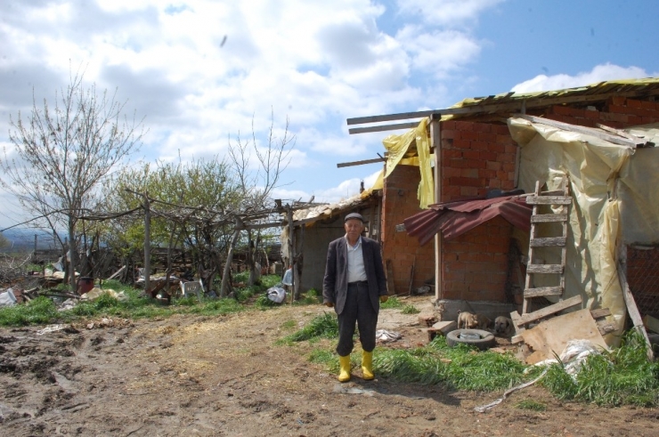 Çiftlikten 3 Büyükbaş Hayvanı Çalıp Kayıplara Karıştılar