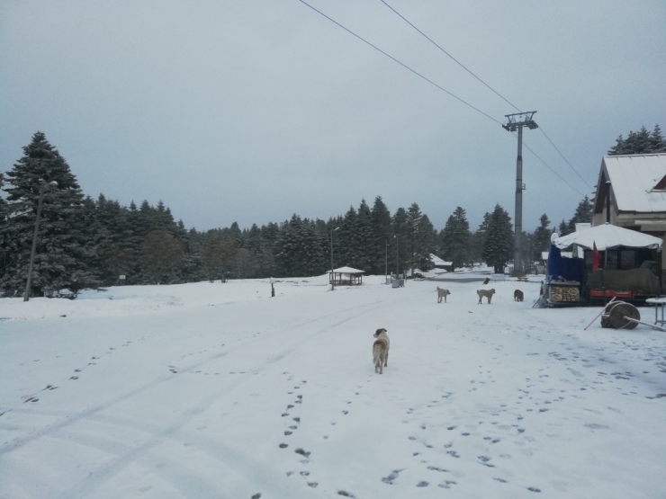 Uludağ’da Nisan Ayında Kar Sürprizi