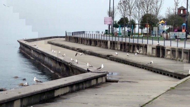 Korona Virüs Nedeniyle İstanbul’un Sahilleri Boş Kaldı
