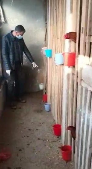 Jandarma Ekipleri Horoz Dövüşçülerine Baskını Düzenledi