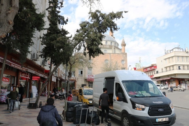 Eğilen Ağaç Tehlike Saçıyor