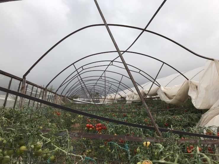 Gece 3’e Kadar Nöbet Tutup Sabah Seranın Yerle Bir Olduğunu Gördü