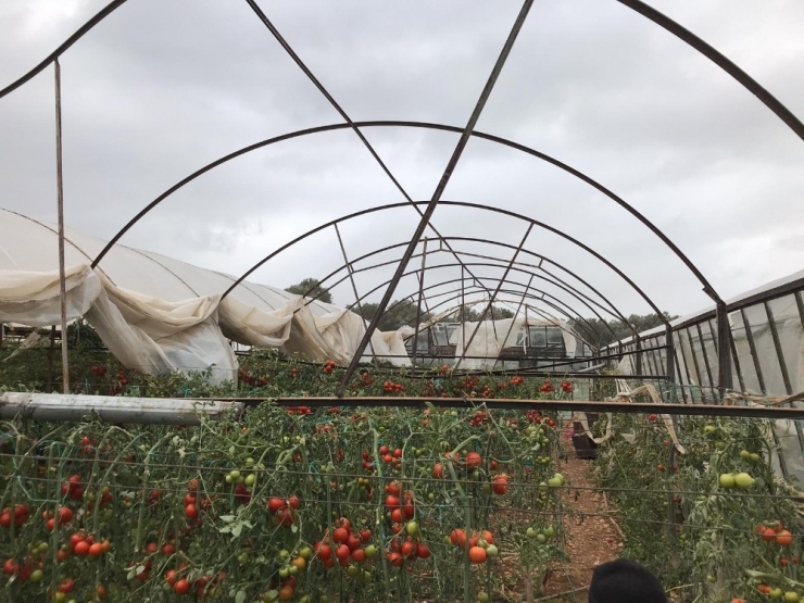 Gece 3’e Kadar Nöbet Tutup Sabah Seranın Yerle Bir Olduğunu Gördü
