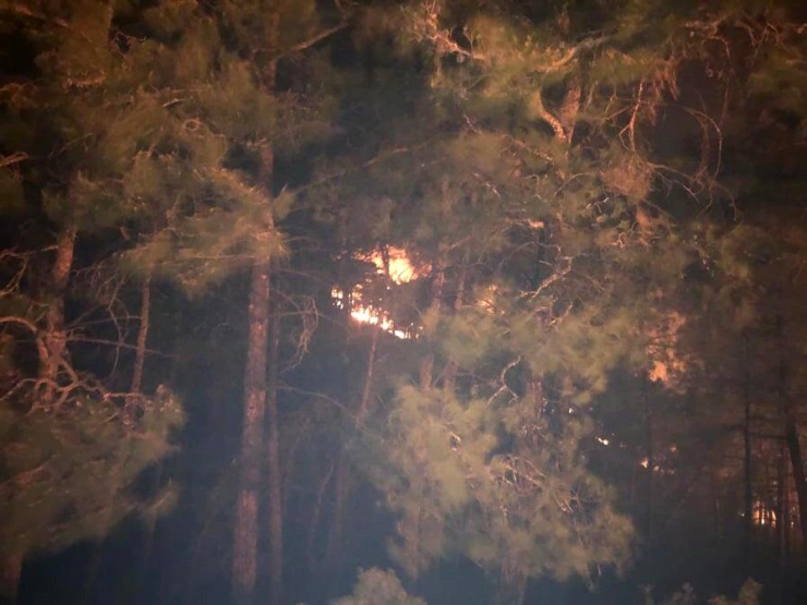 Antalya’da Aynı Gece İki Ayrı Yangın