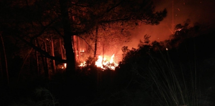 Antalya’da Orman Yangınında Bir Ev İle 2 Dönüm Alan Zarar Gördü