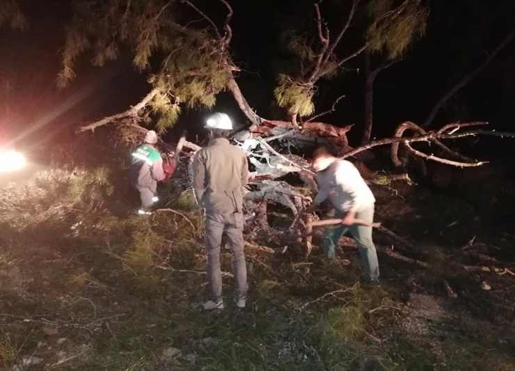 Antalya’da Orman Yangınında Bir Ev İle 2 Dönüm Alan Zarar Gördü