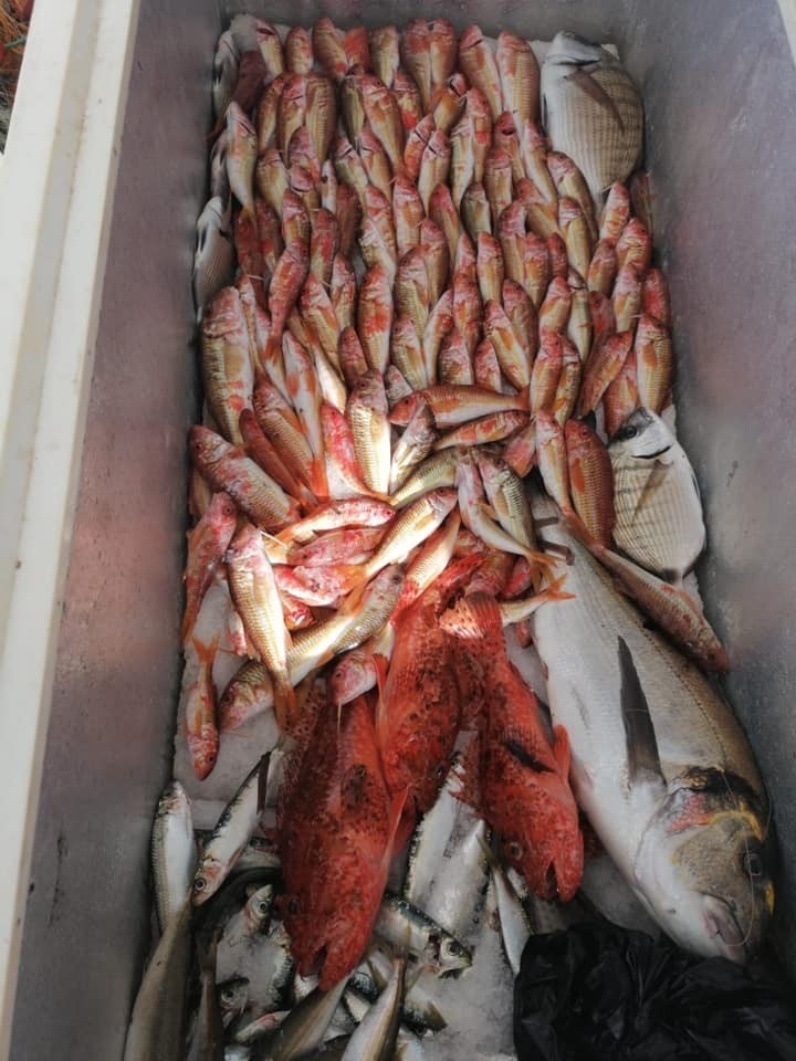 Adrese Teslim Balık