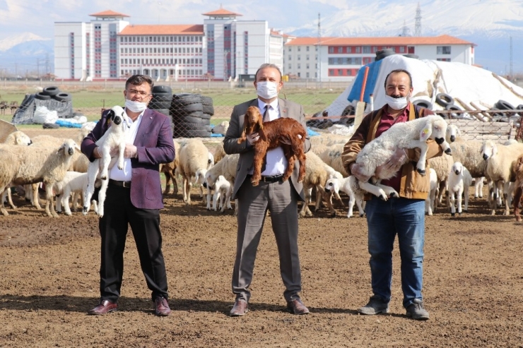 Aksaray’da Tarımsal Ve Hayvansal Üretim Tüm Hızıyla Devam Ediyor