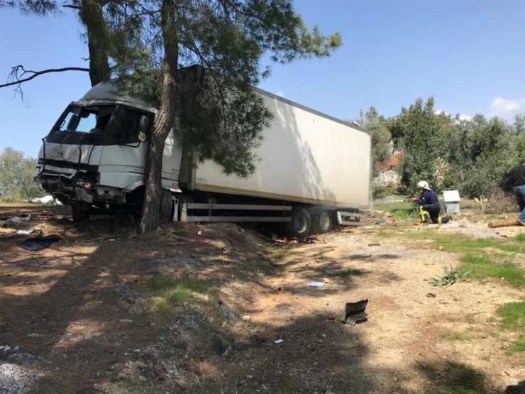 Freni Boşalan Kamyon Ormana Daldı