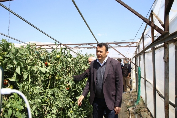 Antalya’da Seralardaki Hasar Günün Ağarması İle Ortaya Çıktı