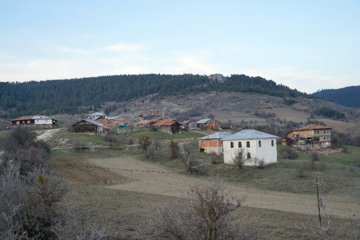 Kastamonu’da Köylerden İl Ve İlçe Merkezine Giriş Çıkışlar Yasaklandı