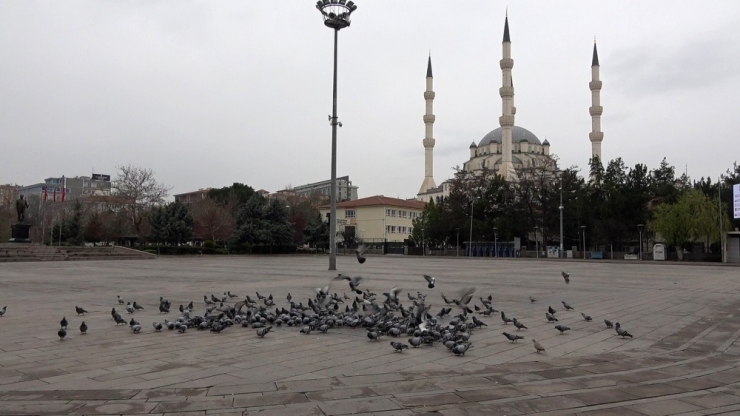 Kırıkkale’de Meydanlar Güvercinlere Kaldı