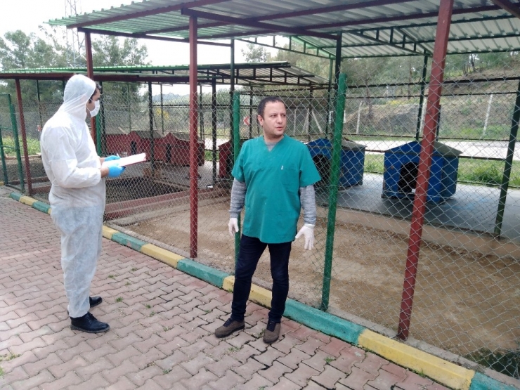 Tarım Ve Orman Bakanlığı Sokak Hayvanları İçin Harekete Geçti