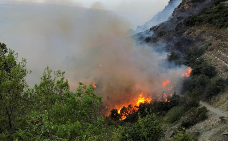 Muz Bahçesinde Çıkan Yangın Ormana Sıçradı
