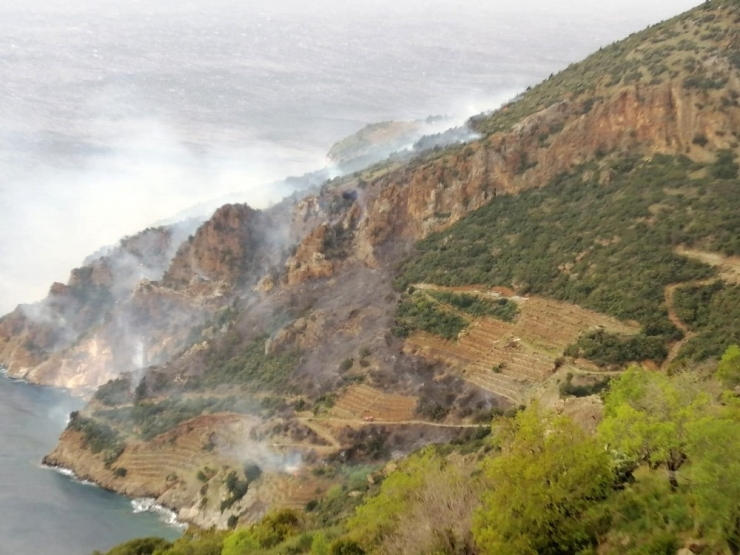Muz Bahçesinde Çıkan Yangın Ormana Sıçradı