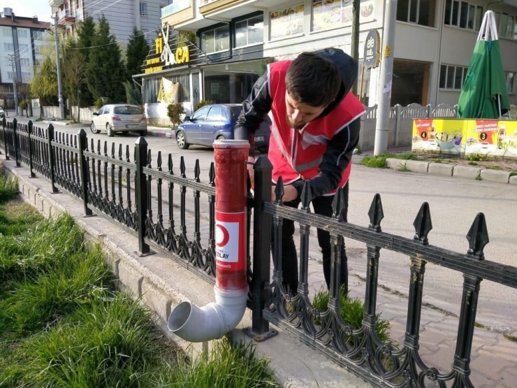 Kızılayın Genç Gönülleri Aç Kalan Sokak Hayvanlarına Sahip Çıktı