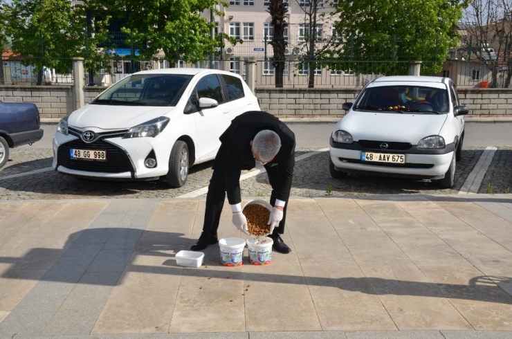 Başkan Karakuş Sokak Hayvanlarını Elleriyle Besledi